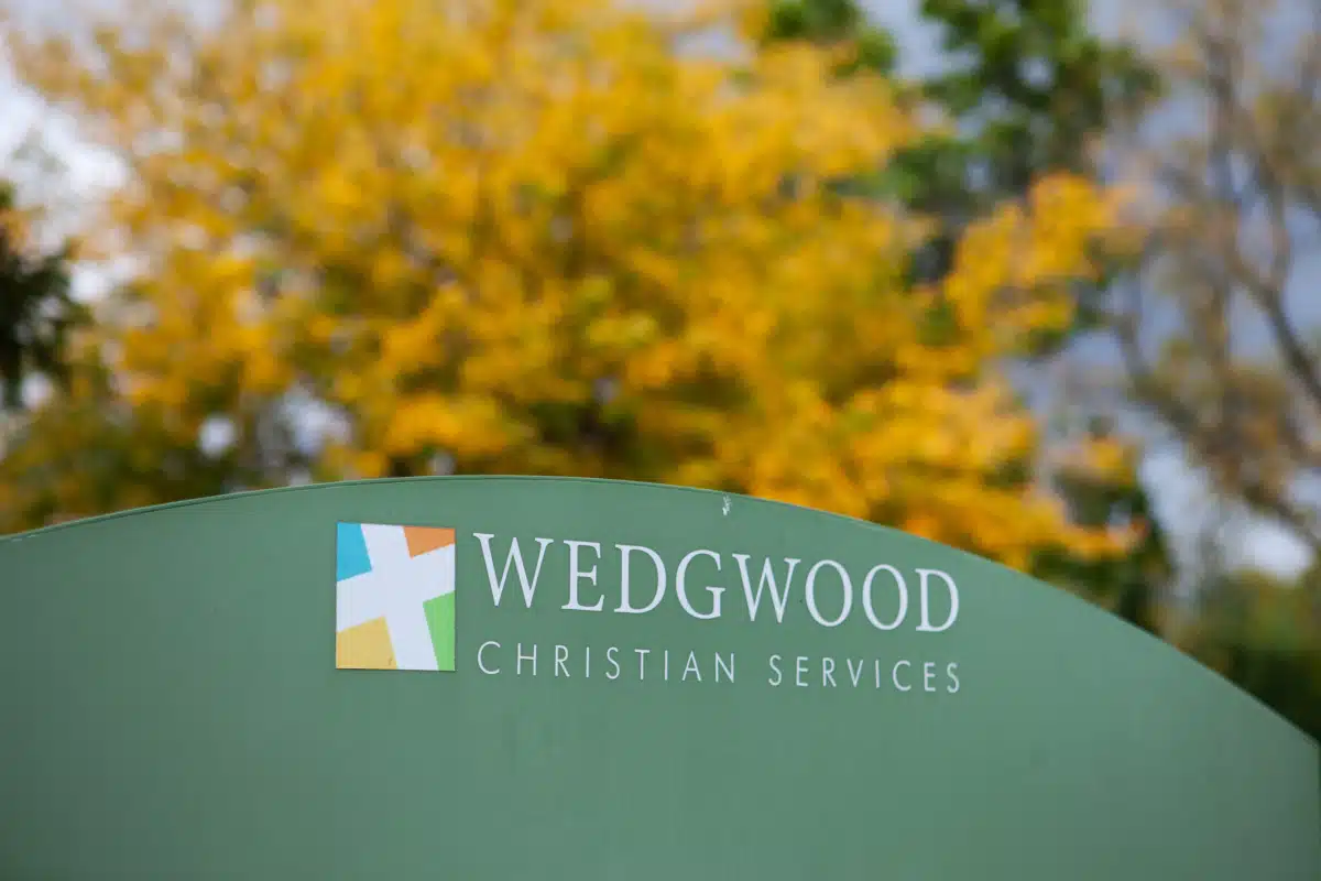 Wedgwood Christian Services - Preview